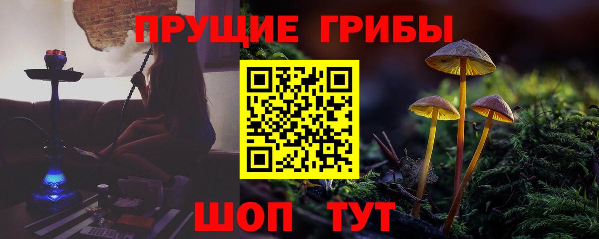 Псилоцибиновые грибы прущие грибы  Вход с VPN  Лабытнанги 